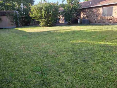 Lawn Care service in Lancaster, 75146