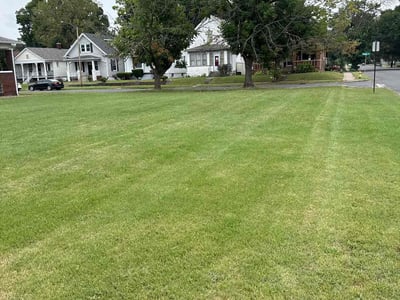 Lawn Care service in Granite City, 62040