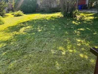 Lawn Care service in Bear, 19701