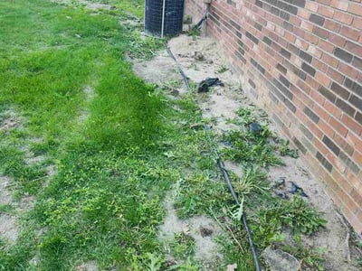 Lawn Care service in Brighton, 48116