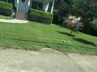 Lawn Care service in Vista, 92083
