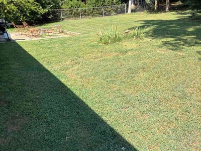 Lawn Care service in Asheboro, 27203