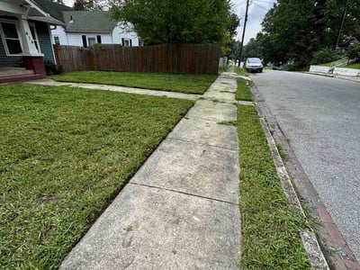 Lawn Care service in Asheboro, 27203