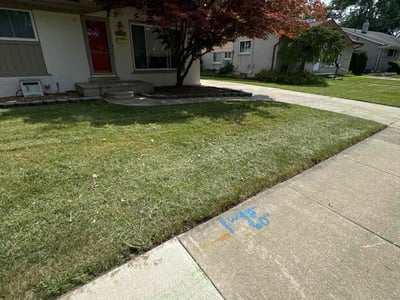 Lawn Care service in Brighton, 48116