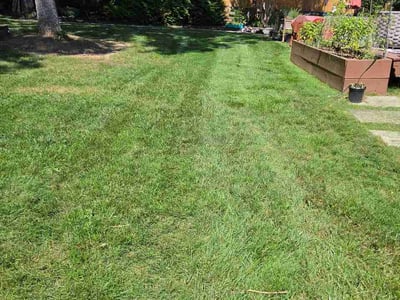 Lawn Care service in Centreville, 20120