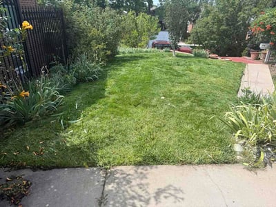 Lawn Care service in Broomfield, 80020
