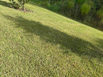 Lawn Care service in Santee, 92071