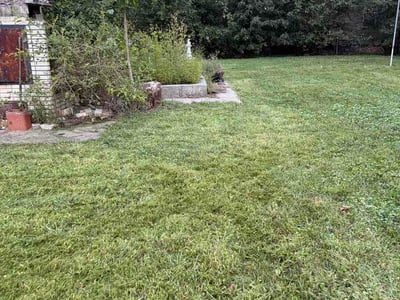 Lawn Care service in Santee, 92071