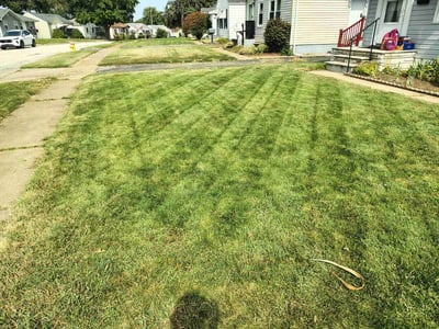 Lawn Care service in Saint Ann, 63074