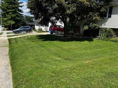 Lawn Care service in Reisterstown, 21136