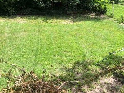 Lawn Care service in Saint Ann, 63074