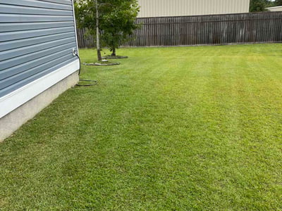 Lawn Care service in Easley, 29640