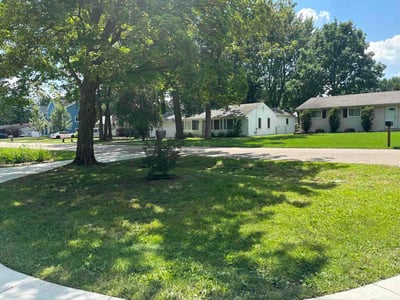 Lawn Care service in Mount Clemens, 48043
