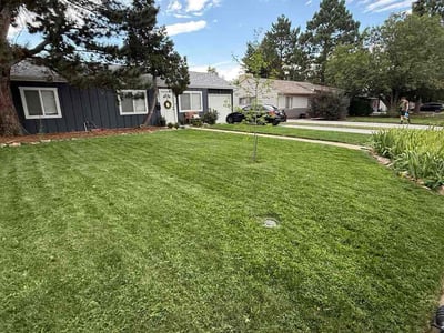 Lawn Care service in Fairplay, 80440