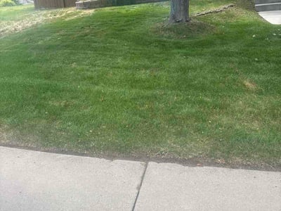 Lawn Care service in Fairplay, 80440