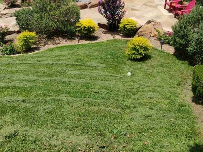 Lawn Care service in Dripping Springs, 78620