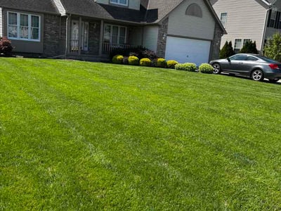 Lawn Care service in North Ridgeville, 44039