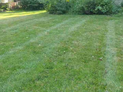 Lawn Care service in Fowlerville, 48836