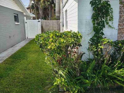 Lawn Care service in Ellington, 06029