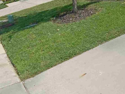 Lawn Care service in Carrollton, 75006
