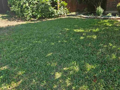 Lawn Care service in Carrollton, 75006