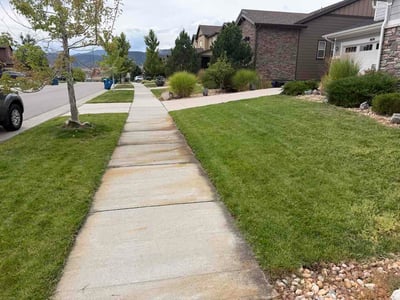 Lawn Care service in Lone Tree, 80124