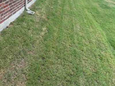 Lawn Care service in Cedar Hill, 75104