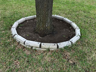 Lawn Care service in San Marcos, 78666