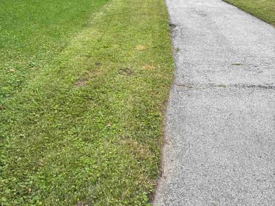 Lawn Care service in Riverton, 84065
