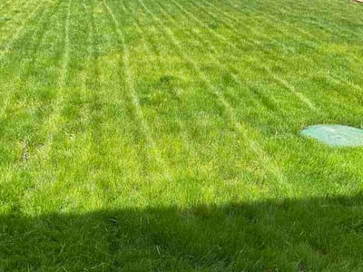Lawn Care service in Monroe, 98272