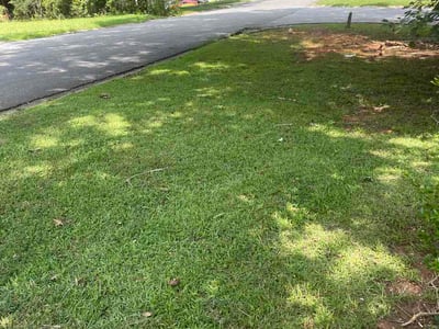 Lawn Care service in Carlsbad, 92008