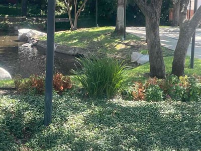 Lawn Care service in Heartland, 75126