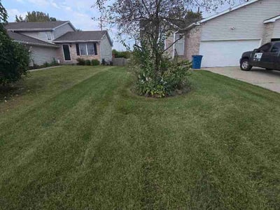 Lawn Care service in Demotte, 46310