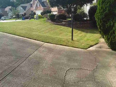 Lawn Care service in Oceanside, 92054