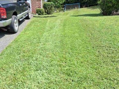 Lawn Care service in White Marsh, 21236