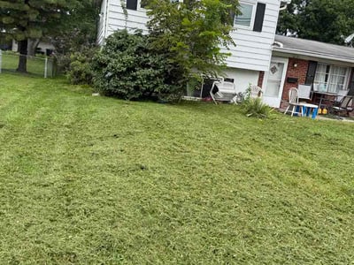 Lawn Care service in Norwood, 45212