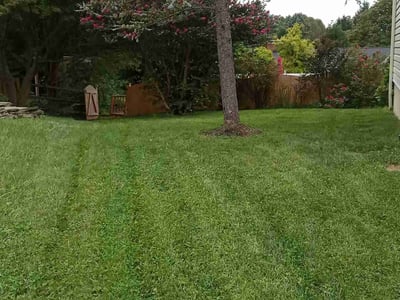 Lawn Care service in Forest Hill, 21050