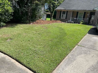 Lawn Care service in Rohnert Park, 94928