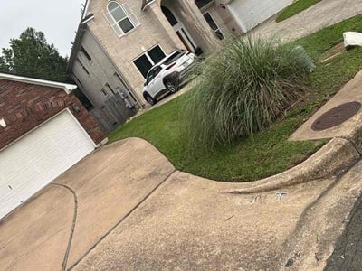 Lawn Care service in Wells Branch, 78728