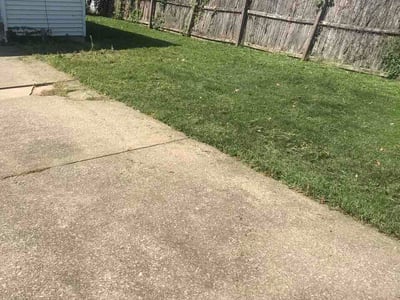 Lawn Care service in Lakewood, 44107