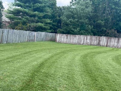 Lawn Care service in Harriman, 37748