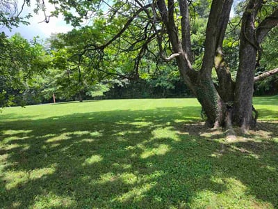 Lawn Care service in Harriman, 37748