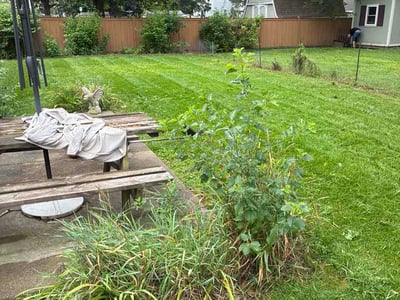 Lawn Care service in Geneva, 60134