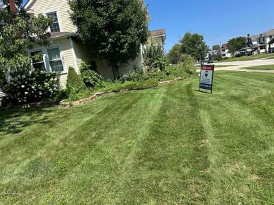 Lawn Care service in Bedford, 44146