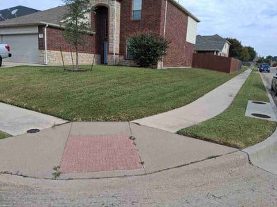 Lawn Care service in Spring Valley, 91977