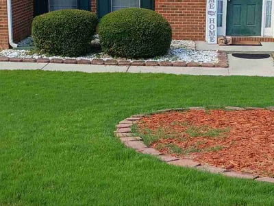 Lawn Care service in Spring Valley, 91977