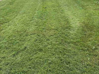 Lawn Care service in Euclid, 44123