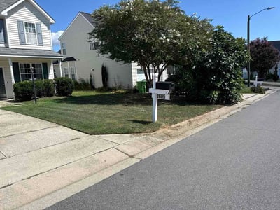Lawn Care service in Calabasas, 91302