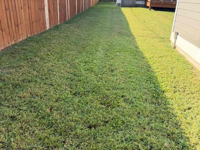 Lawn Care service in Westmoreland, 37186