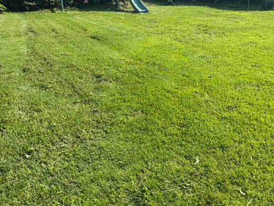 Lawn Care service in O Fallon, 62269
